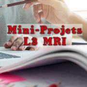 Note aux étudiants L3 MRI mini-projets-l3mri