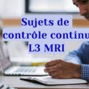 Sujets de contrôle continu L3MRI